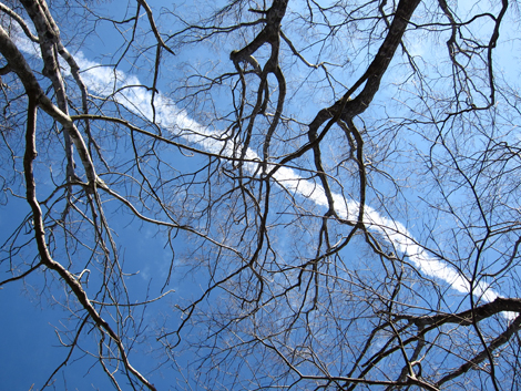 20200110hike (55)